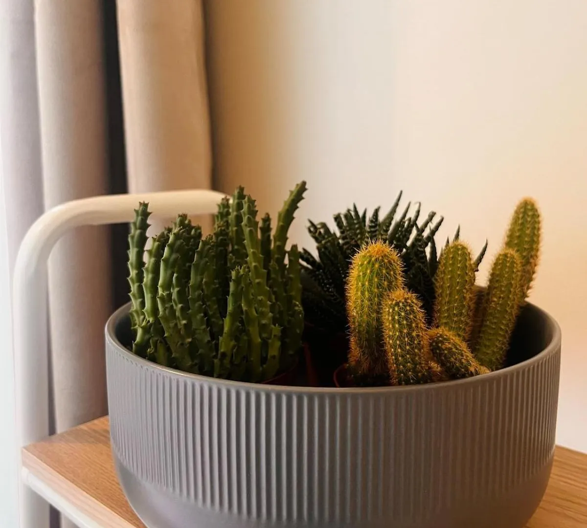 Apartmán Casa Giuliana Neapol 0*,  Itálie